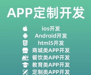 APP定制开发、APP开发、系统开发