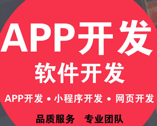 APP开发、系统软件、应用软件